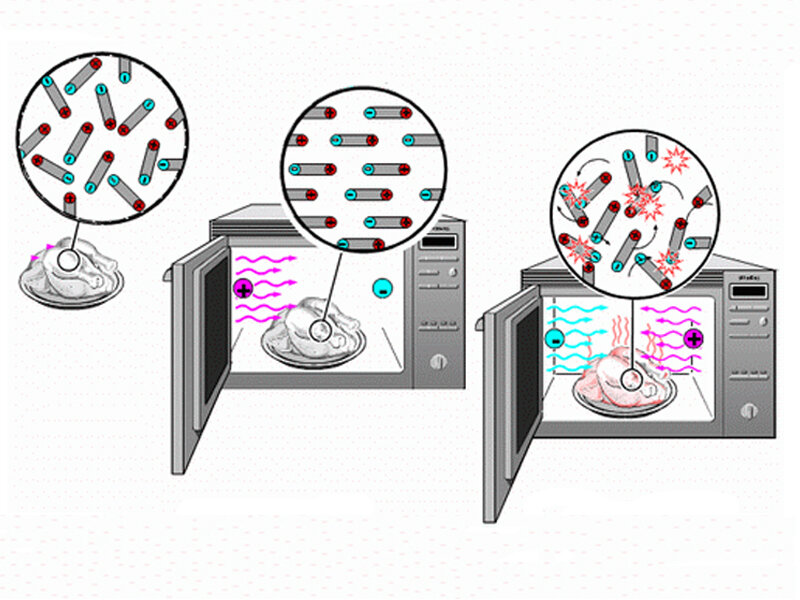 Проект по физике еда из микроволновки польза или вред