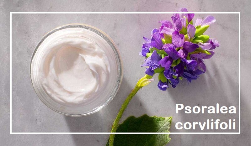 фото с сайта https://cosmetix.by/