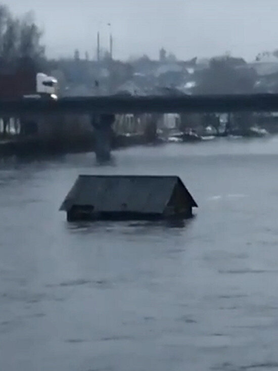     фото: скриншот из видео