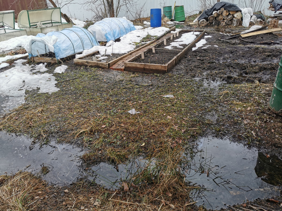 Ещё вчера снег лежал, а сегодня - голая земля.