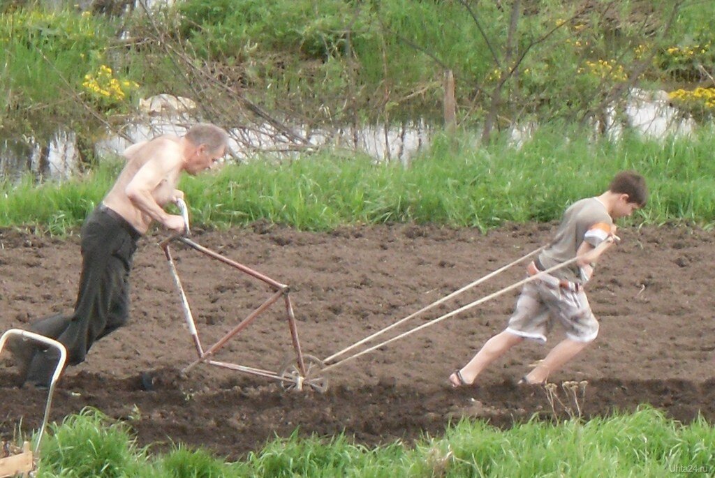 Смешные дачники фото