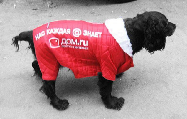 справедливости ради: интернет от Дом.Ру - отличный