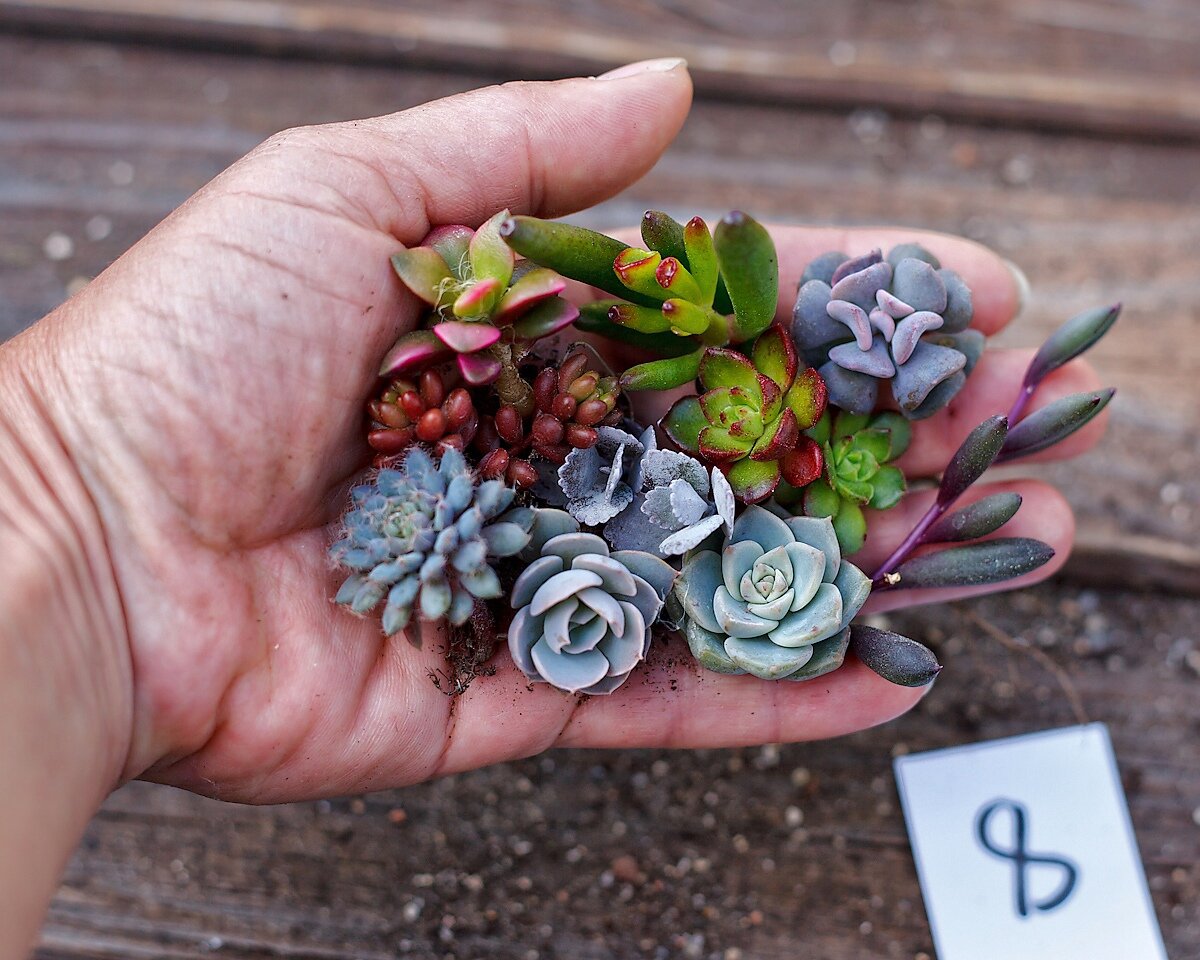 Остальные фотографии из того же объявления Листайте влево, чтобы посмотреть все