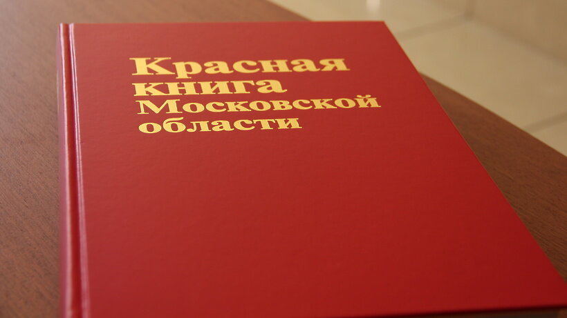    Краснуя книга Подмосковья ©пресс-служба министерства экологии и природопользования Московской области Фото