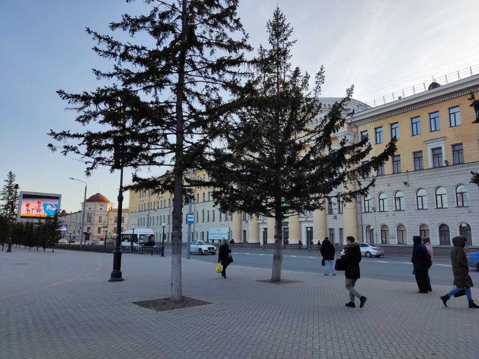   Анна Ковалёва
