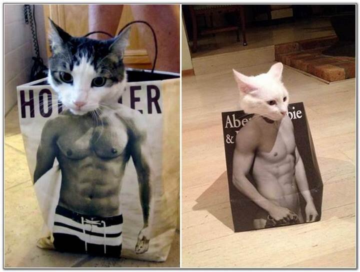 Посмеялся сам - поделись с другом!!!