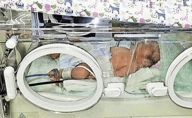 С мальчиком все хорошо, его спасли благодаря рыжему псу. Если бы пса не было рядом, то через несколько часов могла произойти трагедия