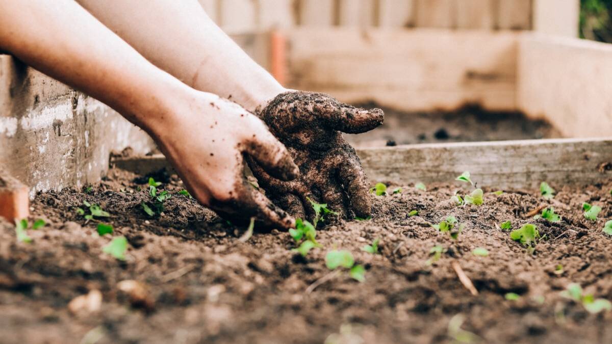 Лунный календарь садовода и огородника на апрель 2023 года: таблица  посевных дней | Вечерняя Москва | Дзен