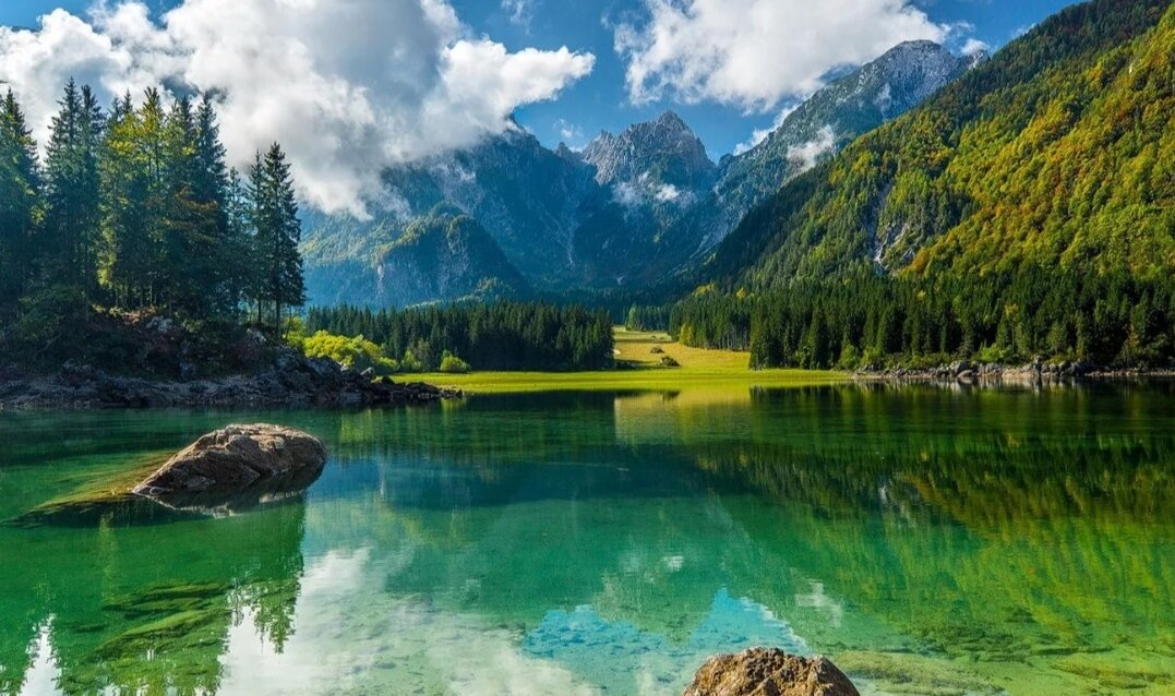 Фото из открытых источников.