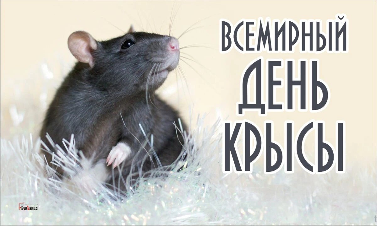 Всемирный день крысы 4 апреля картинки. Всемирный день крысы. 4 Апреля день крысы. 4 Апреля крыса. Крыса праздник.