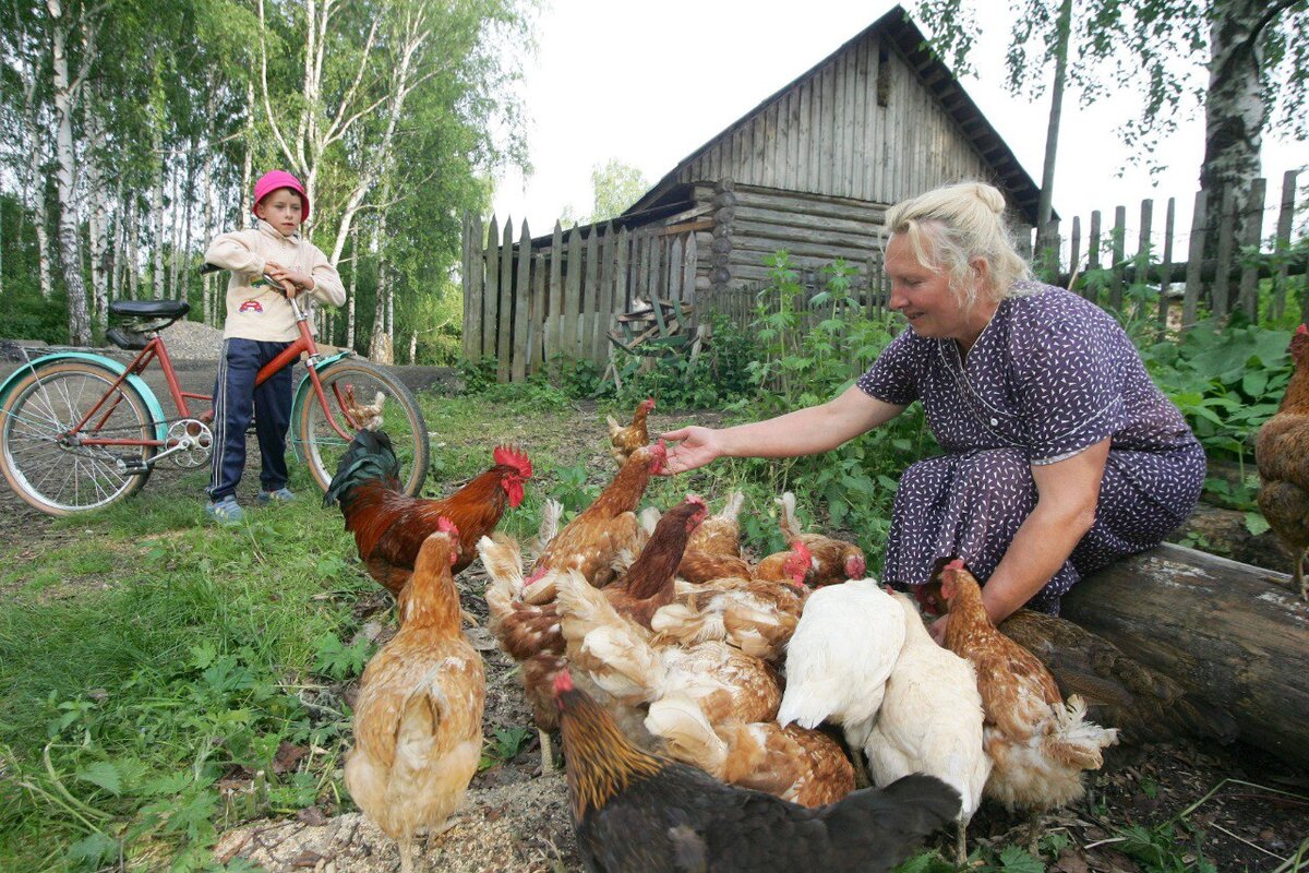 Какие важные законы ввели для дачников в 2023 году | ФедералПресс | Дзен