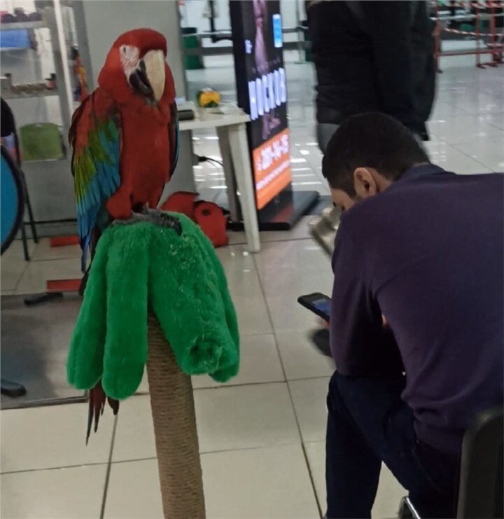     Фото: t.me/ukrsn24