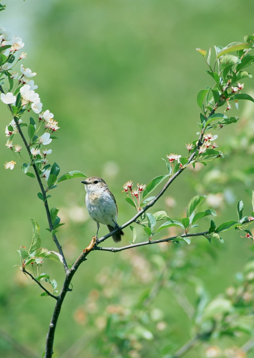 Картинка с просторов интернета. 