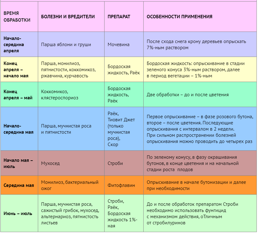 В каком месяце обрабатывать деревья весной