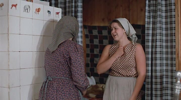 Очень люблю фильм Владимира Меньшова «Любовь и голуби», для меня в порядке вещей — залипнуть в телевизор, мельком увидев, что показывают одну из любимых советских комедий.-7