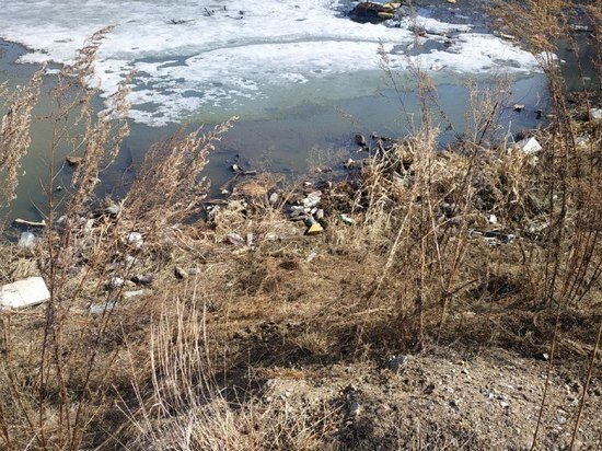     «Обратная сторона Хабаровска» увидела страшный сон эколога на Черняховского / Ольга Кива