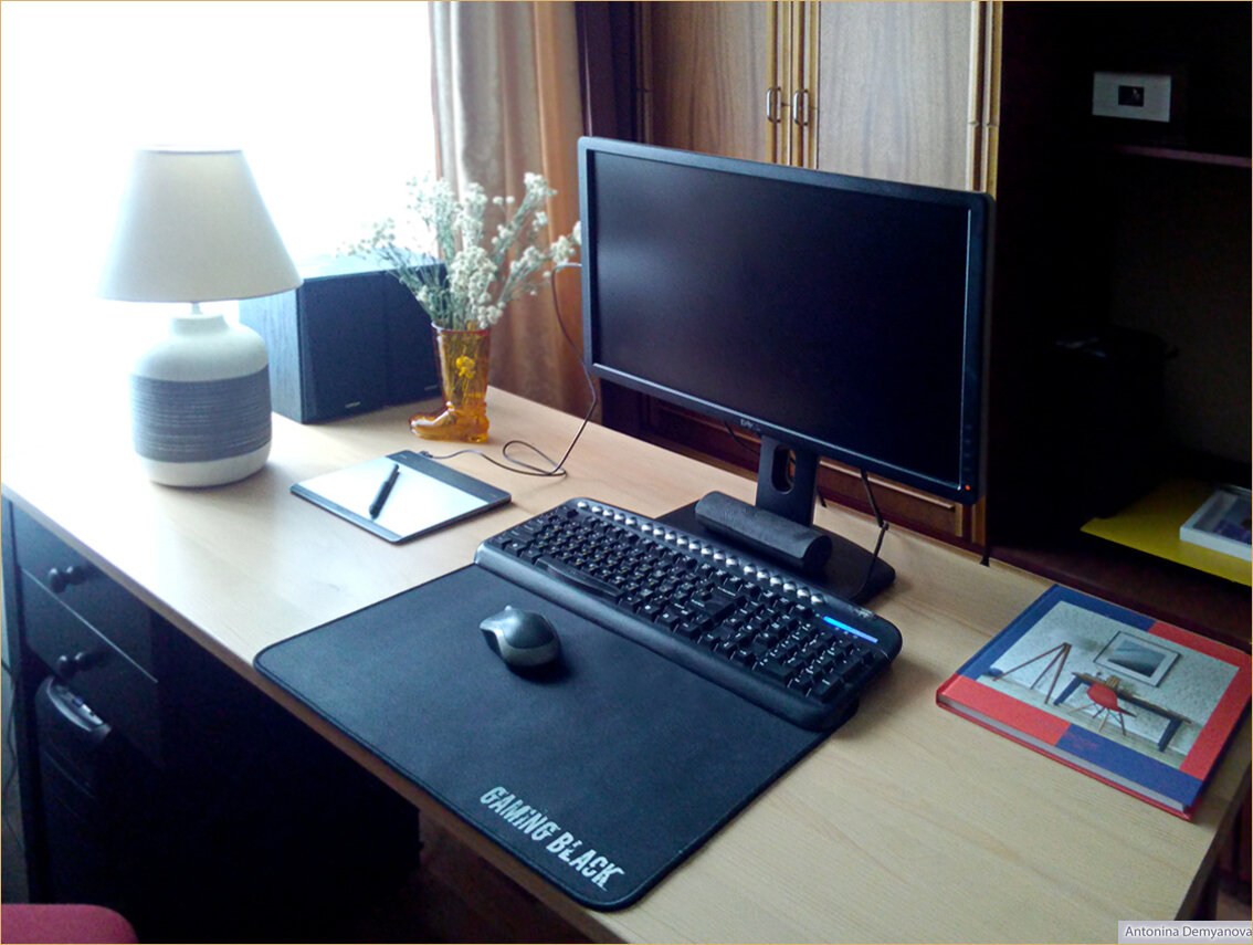 Фото автора статьи, кабинет.