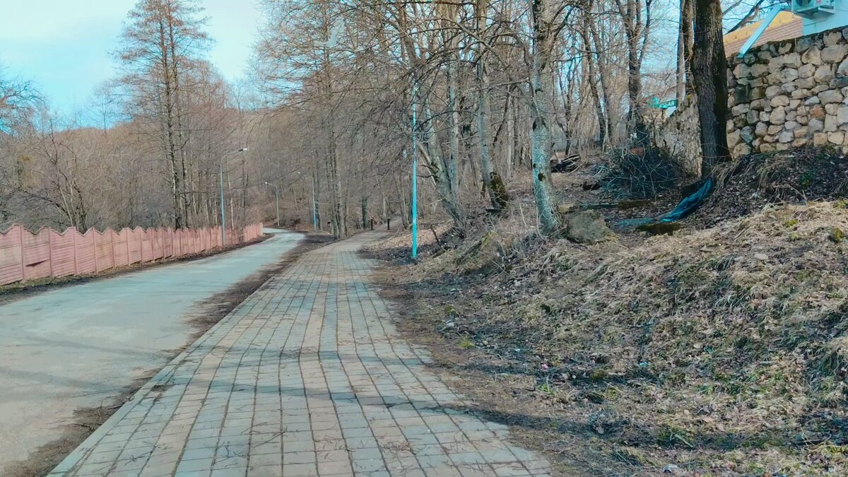 Дорога пошла вверх