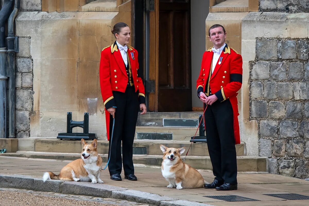 Queen Elizabeth II's corgis are all right: Sarah Ferguson's update on beloved do