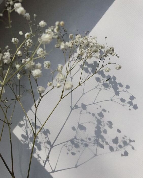 Источник фото: Интернет. Открытые источники. Яндекс картинки.