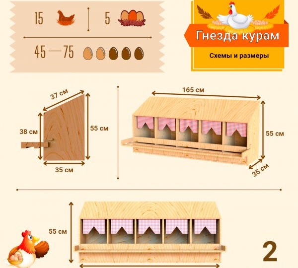 13 идей гнезд для кур несушек – схемы и размеры ⚒️📦🐔