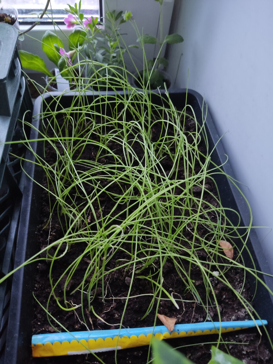 Фото из личного архива 