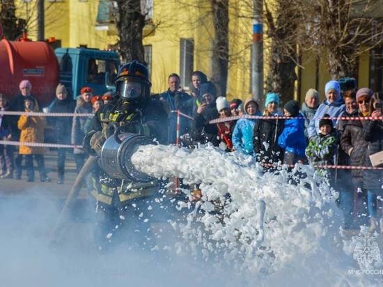     Фото пресс-служба МЧС по Архангельской области