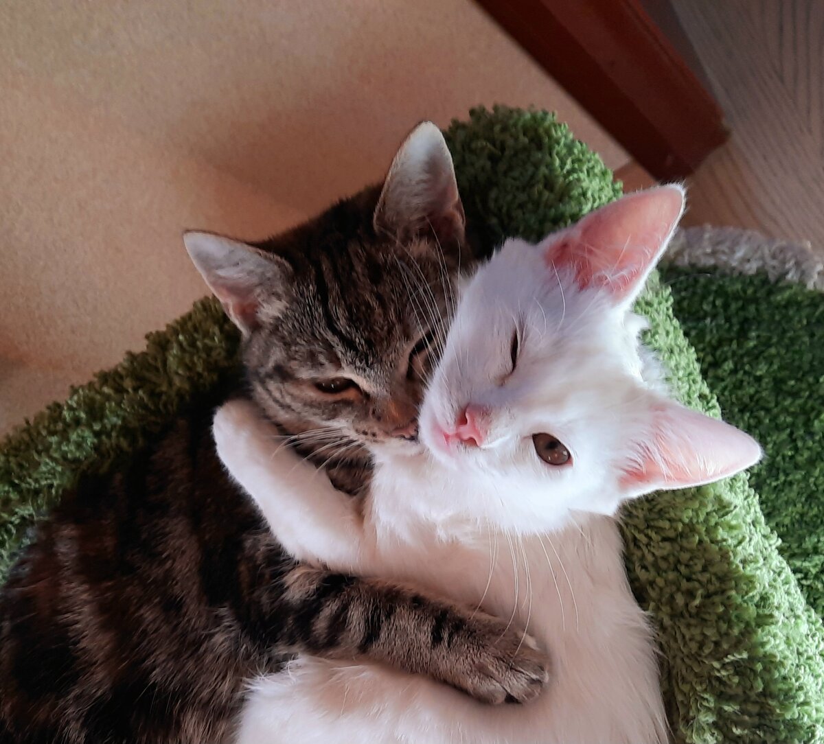 ДарьМихална и Муся