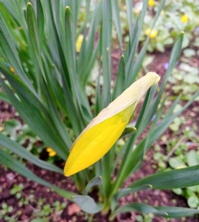 На подходе.