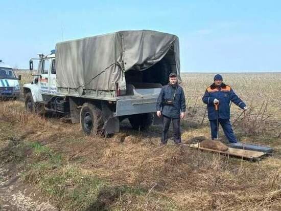     Фото: ГУ МЧС по Курской области