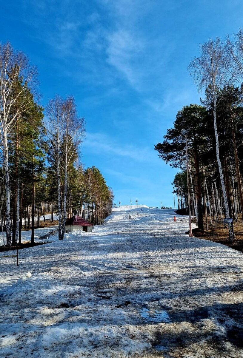 Уктусский лесопарк