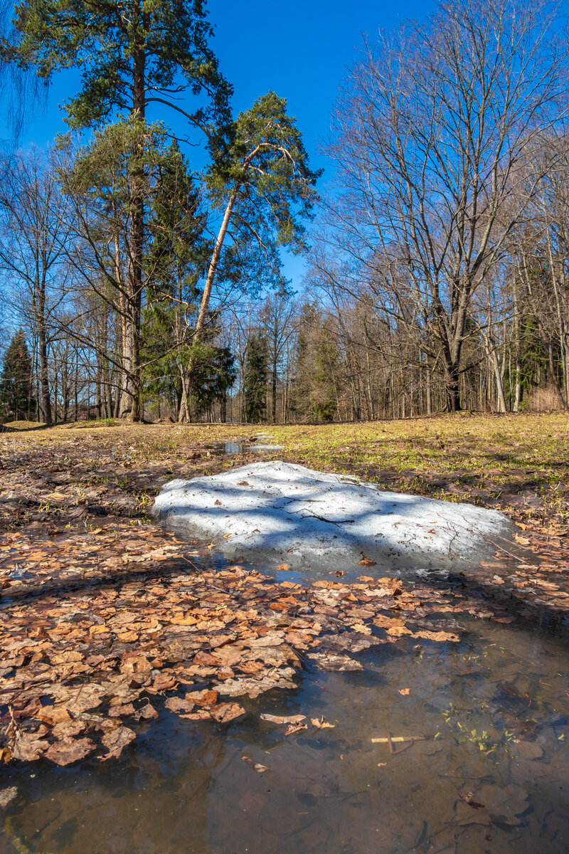 📸 Андрей Котуранов 