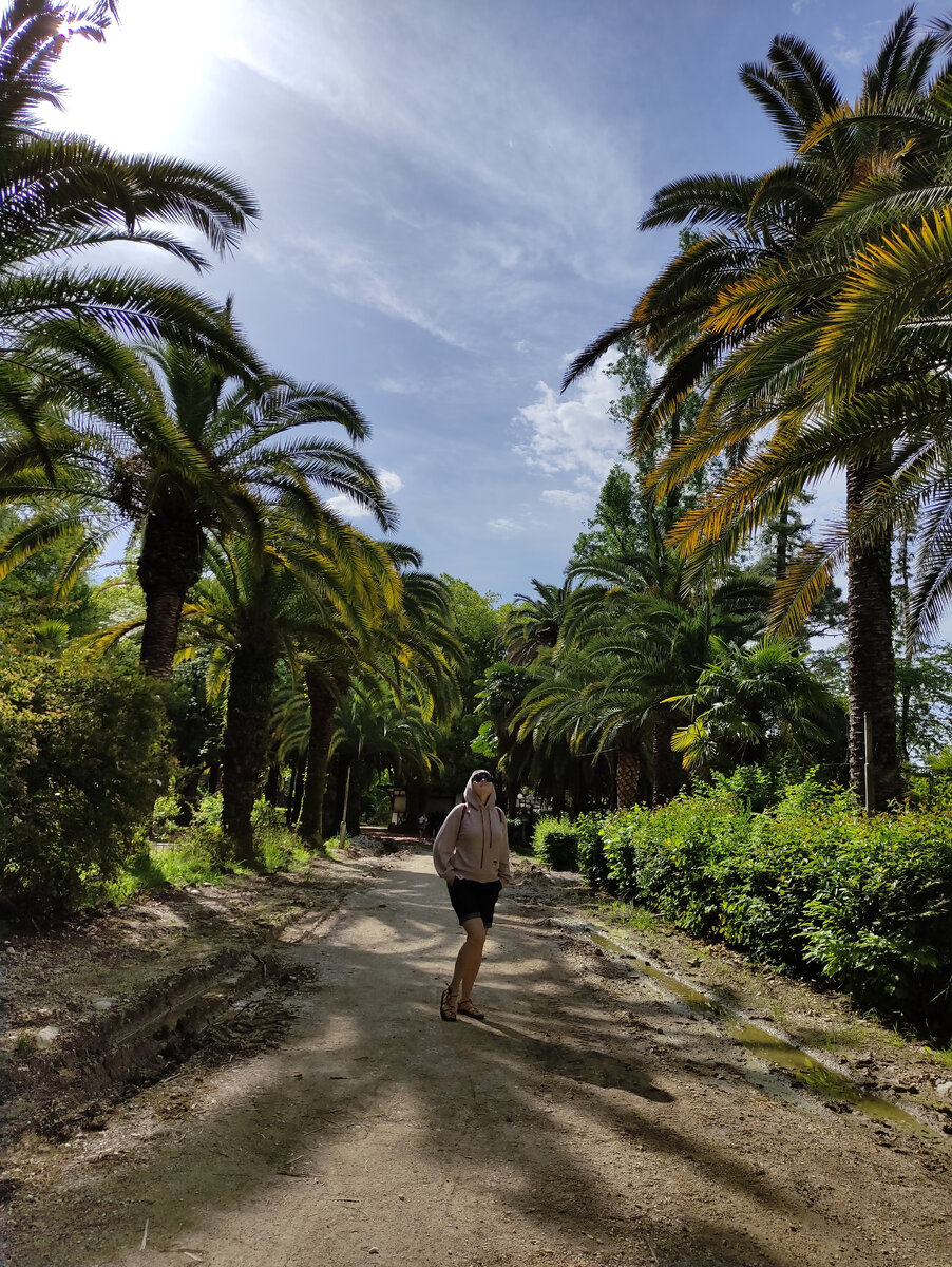 Аллеи Старого парка в Гаграх. Абхазия