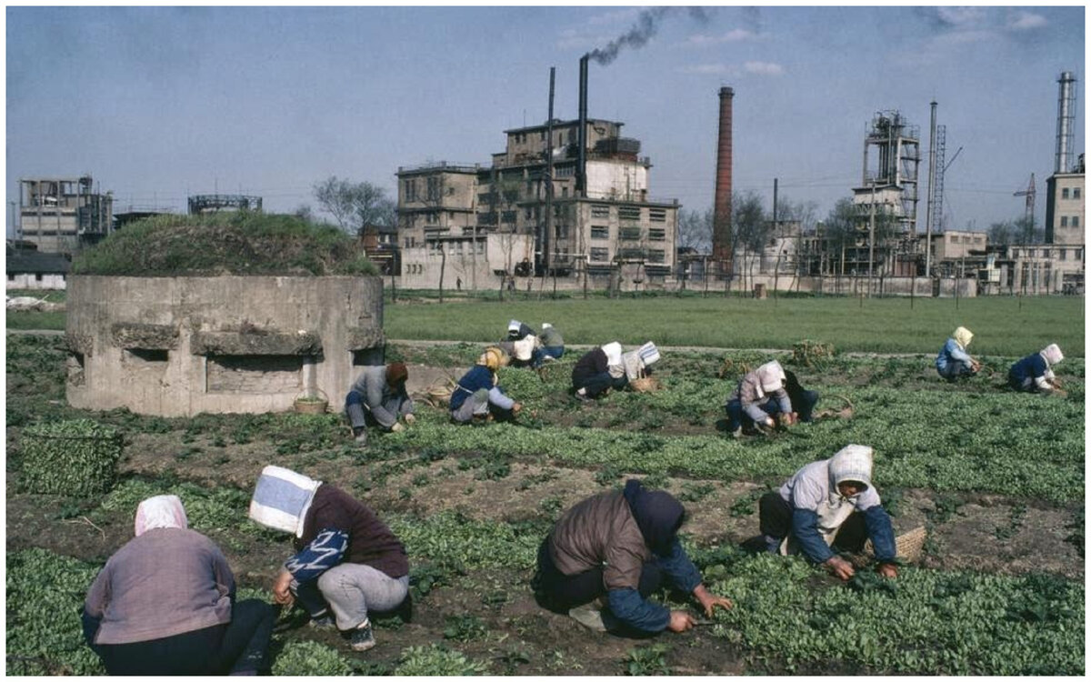 Китай 1970-1980 гг. Данная картинка из общедоступных ресурсов сети интернет принадлежит только ее авторам.