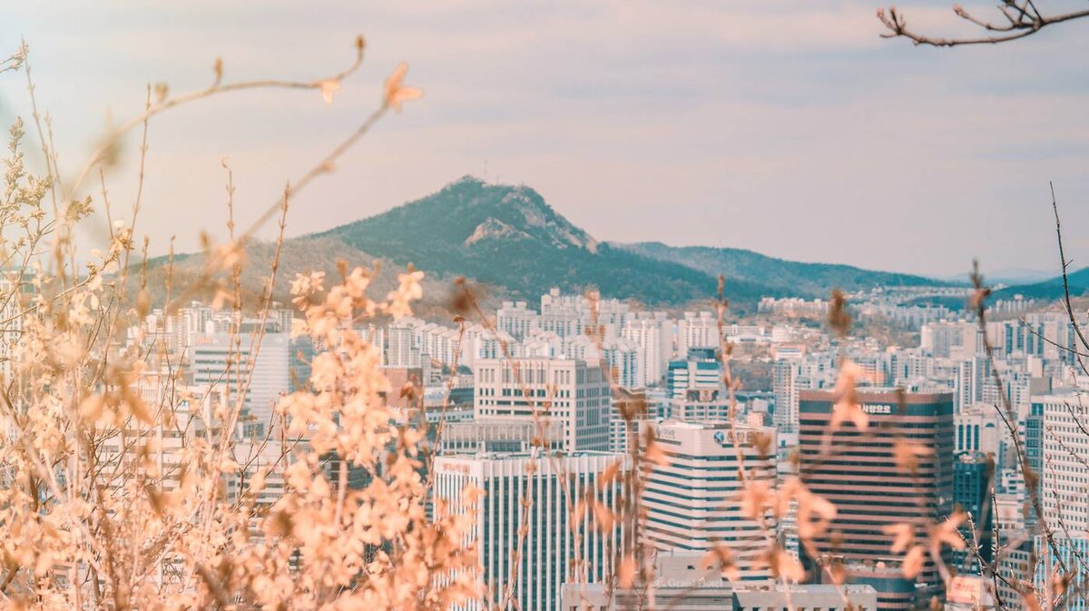 (https://journal.tinkoff.ru/seoul-one-day/)