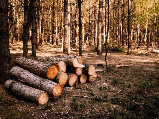     Фото: freepik.com.