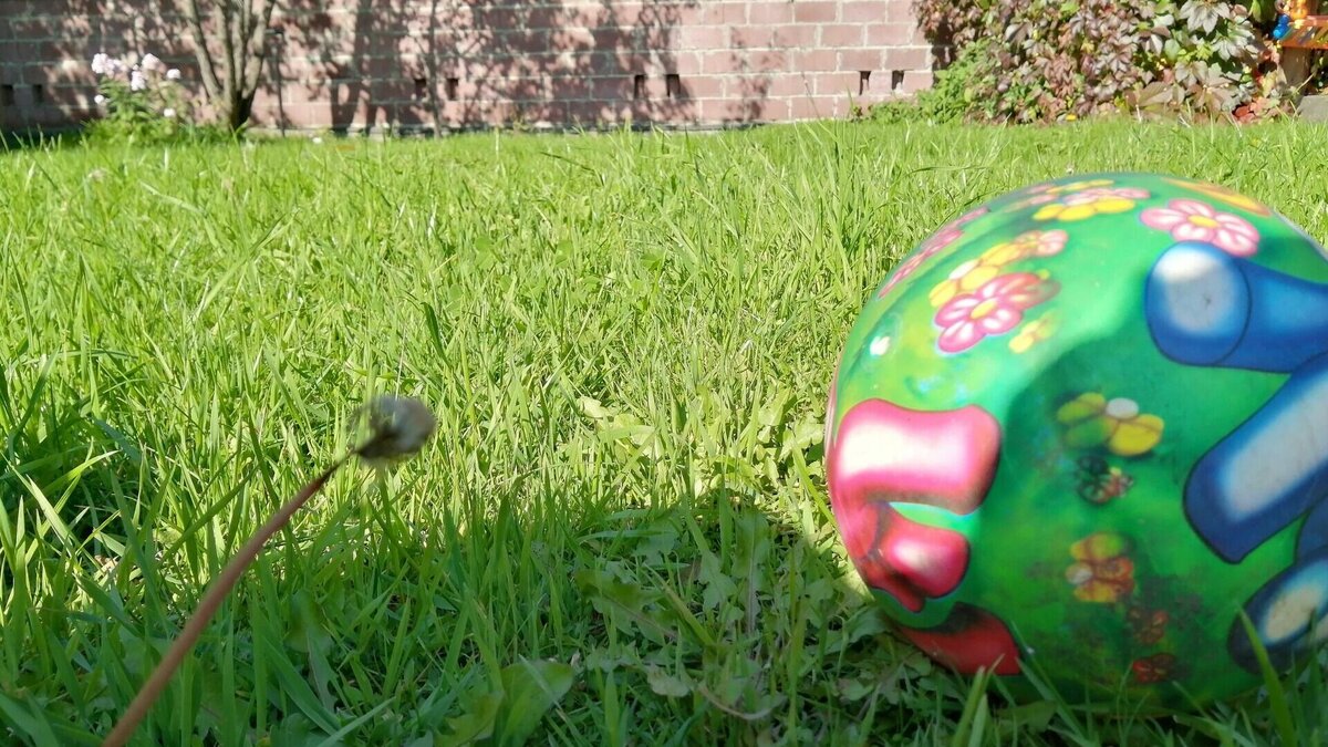     Во Владивостокском городском Дворце детского творчества начала работу выставка Банка России «Путешествие в детство». Экспозиция, посвященная монетам, созданным по мотивам известных художественных произведений для детей, будет интересна и взрослым.