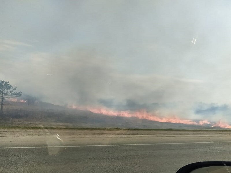    «Едешь сквозь дымовую завесу — видимость на трассе нулевая!»: под Брянском у Объездной дороги горит масштабно сухая трава avchernov