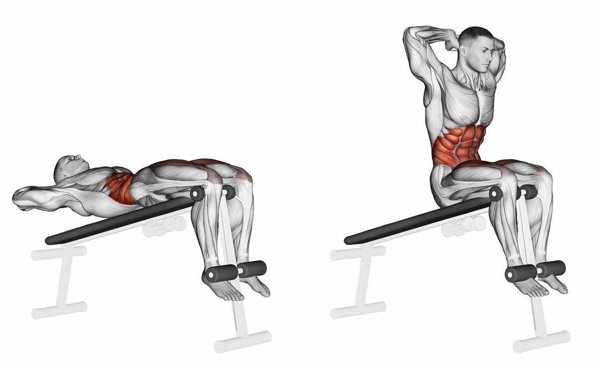 Подъём корпуса на скамье