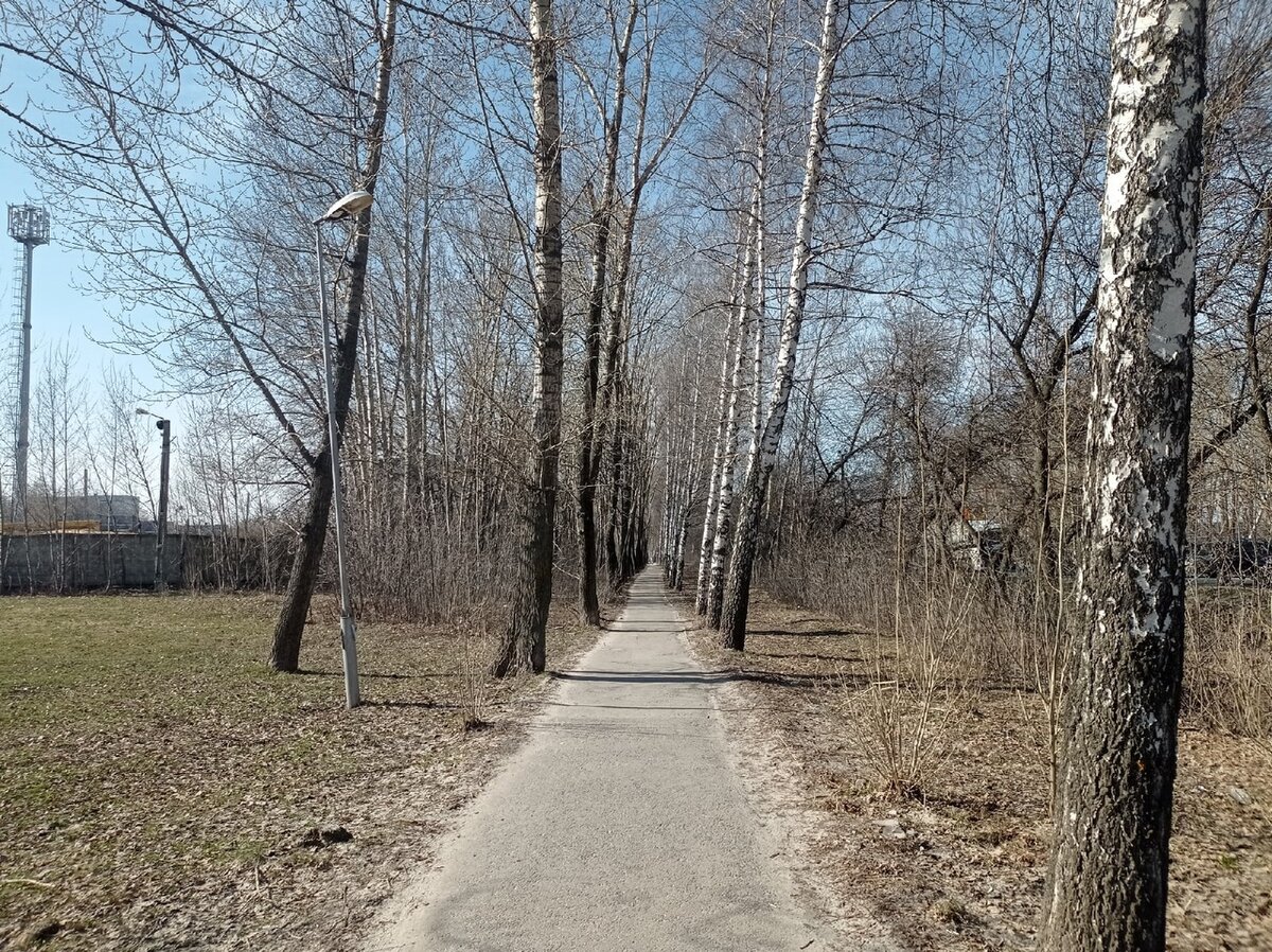 Погода стоит замечательная.