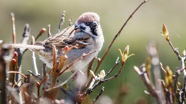    © iStock.com / Linas Toleikis