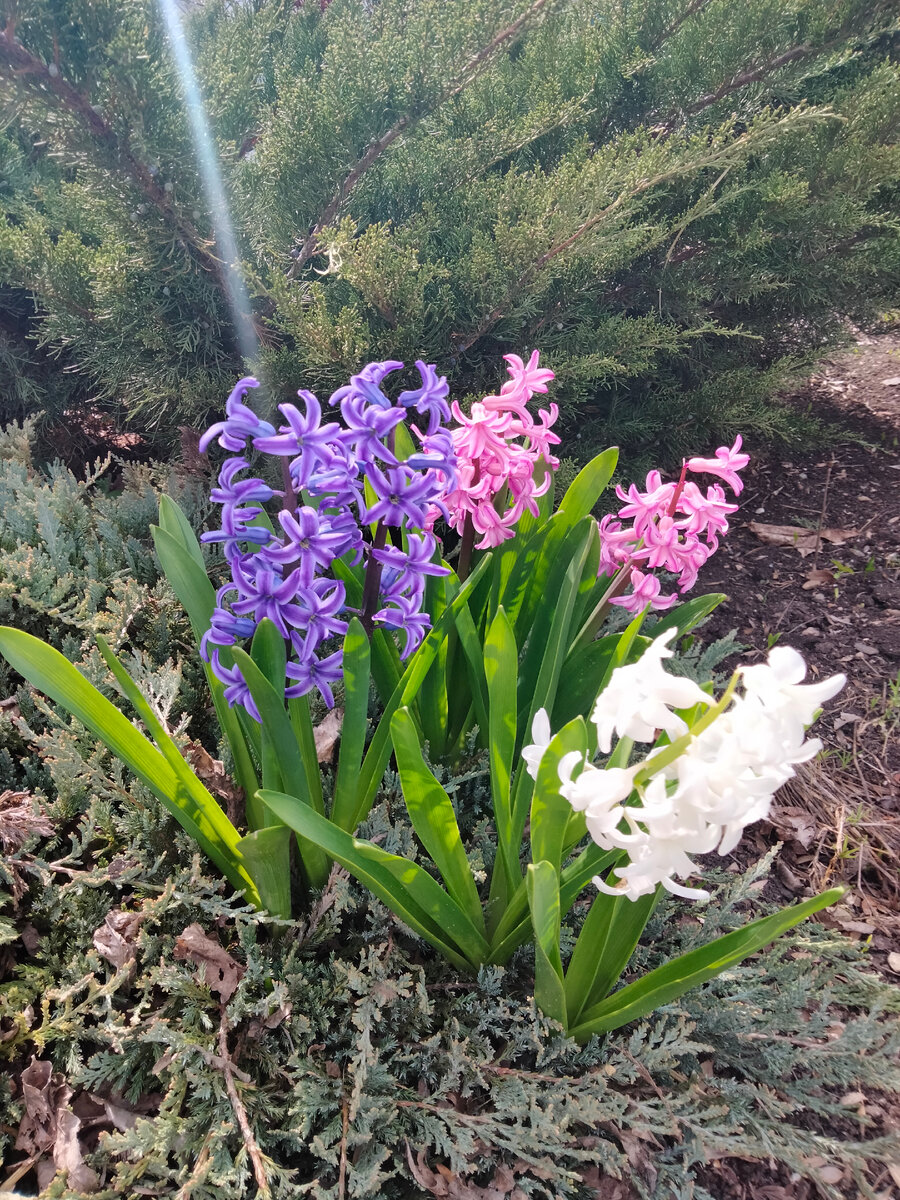 Прелесть же 