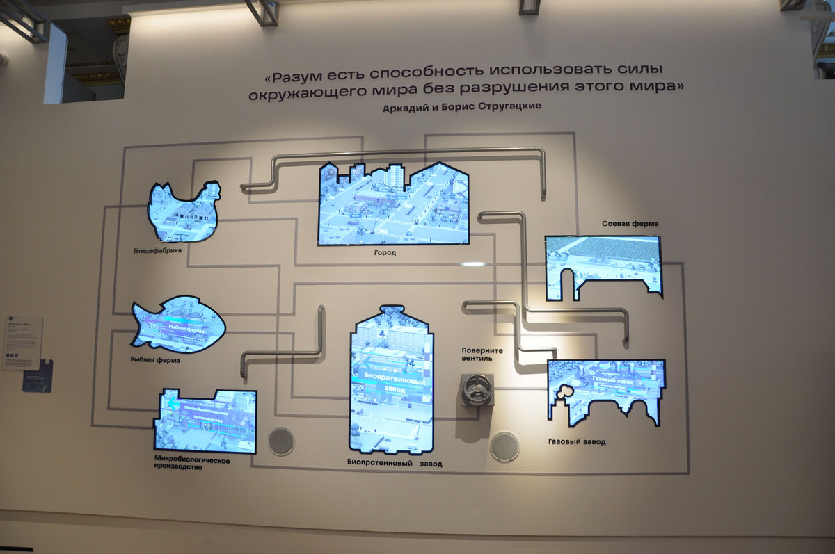 Павильон №30. Спортивная выставка. Вднх центр современных биотехнологий музей «биотех». Музей биотехнологии вднх. Вднх павильон 30 микробиологическая промышленность.