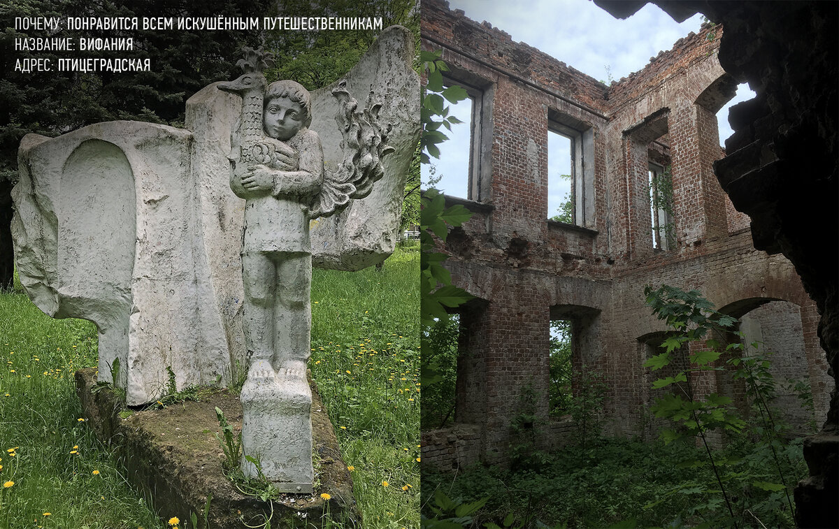 мальчик с птицей и руины семинарии