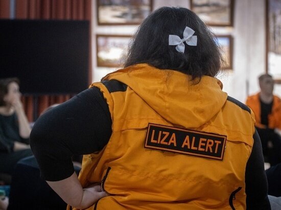     фото лизаалерт