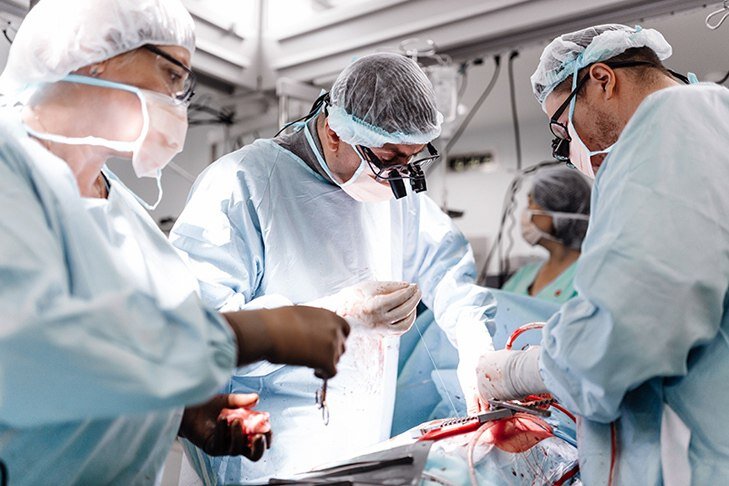 © Фото - Центр Мешалкина.📷
