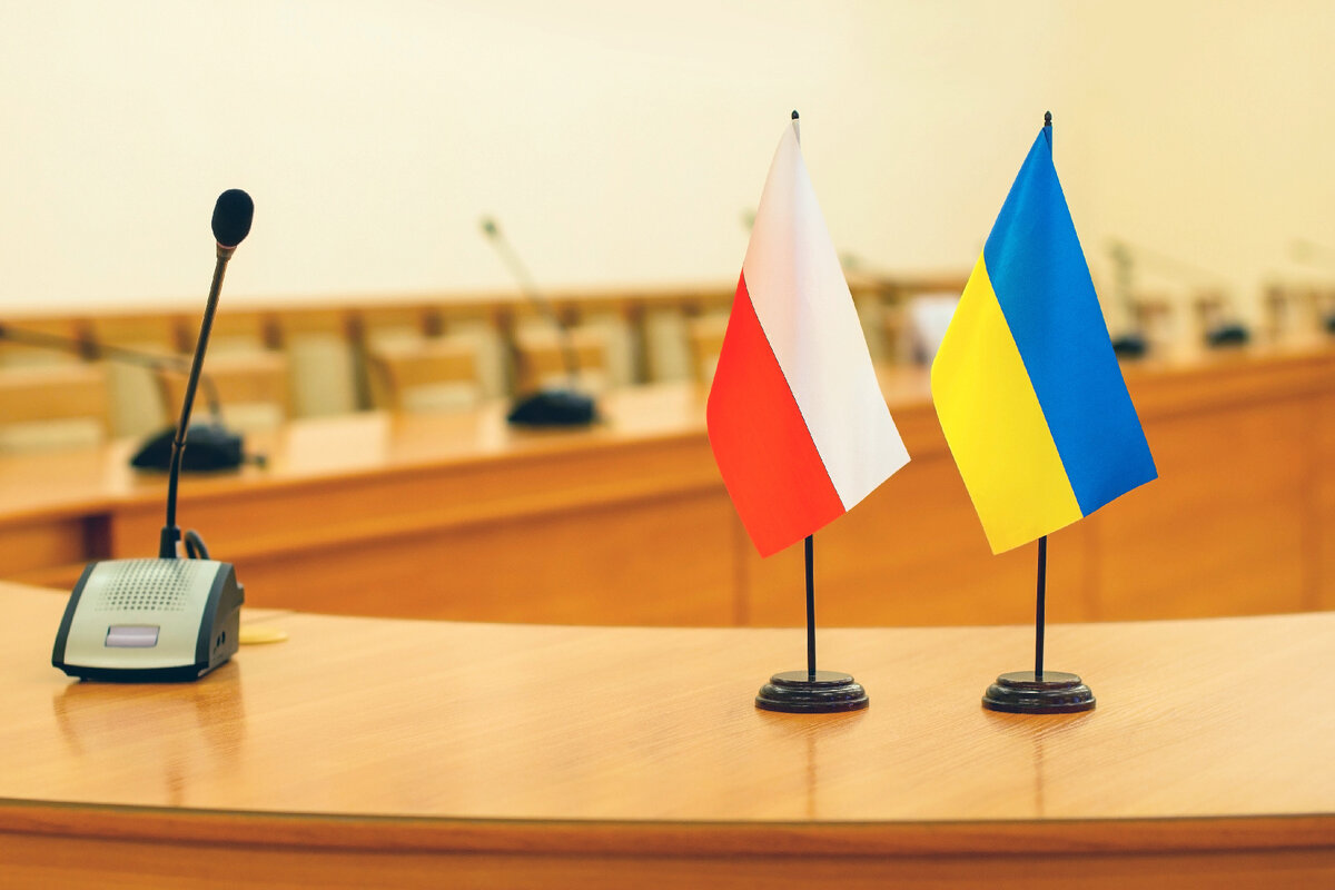  Фото: iStock/Berezko