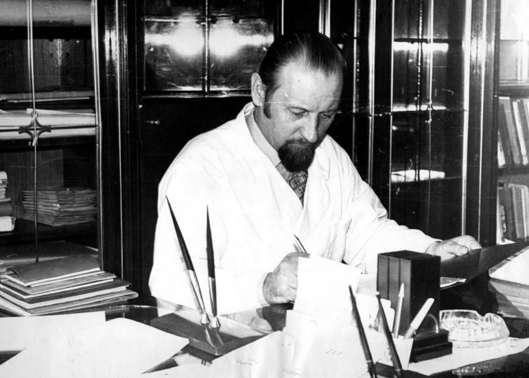 Фото из открытых источников