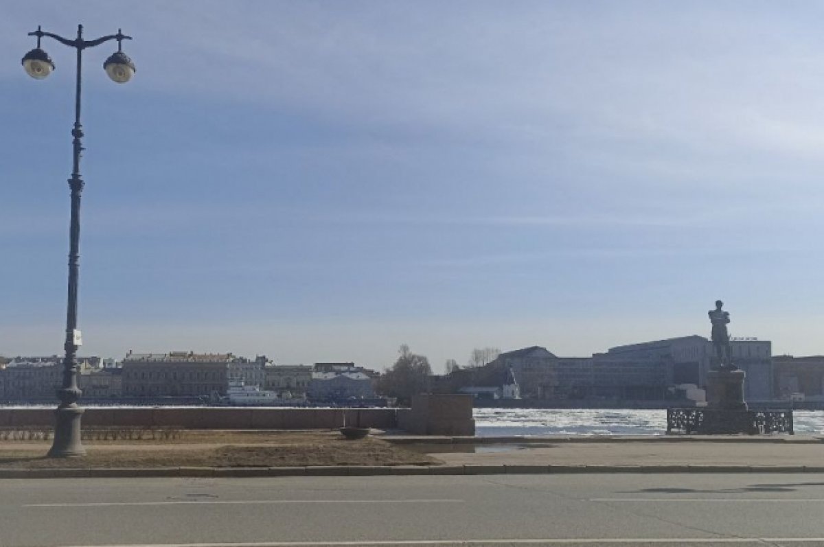    В начале рабочей недели в Петербурге светит солнце и до +14 градусов