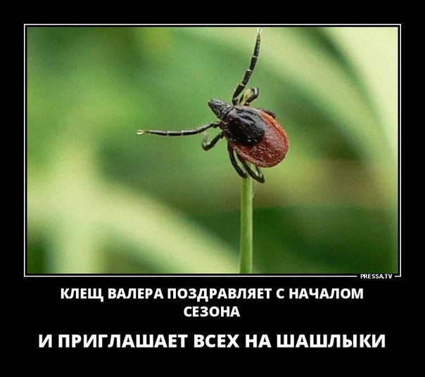 Самый маленький памятник России украли